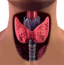 甲狀腺炎 甲狀腺炎