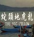 《龍虎地頭蛇》