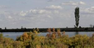 加馬鐵力克鄉 加馬鐵力克鄉