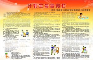 湖北省人口與計畫生育條例