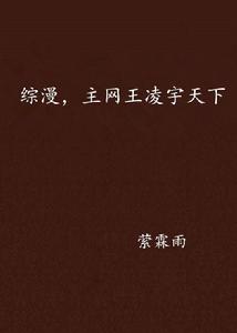 綜漫,主網王凌宇天下 綜漫,主網王凌宇天下
