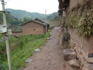 維家箐村 維家箐村