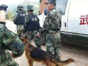 9·26廣西靈山惡性砍殺事件