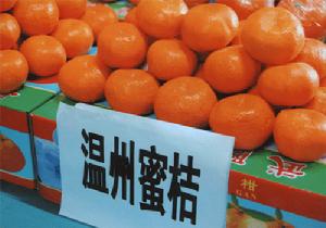 溫州蜜橘