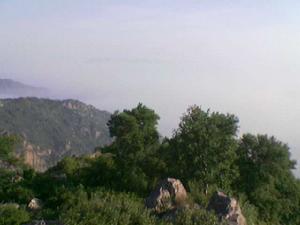 大茂山原始森林