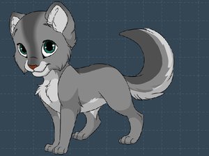 扮可愛小貓咪 扮可愛小貓咪