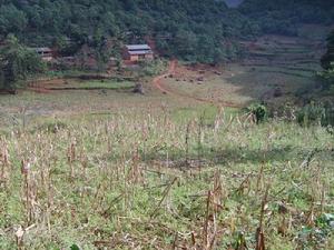 下沙夫者村 下沙夫者村