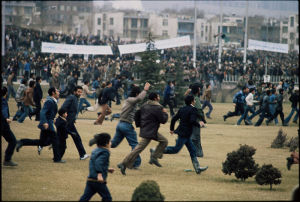 伊斯蘭復興運動