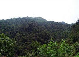 犀牛山生態園 犀牛山生態園