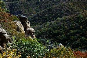 西平省級森林公園