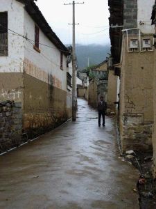 振興自然村 振興自然村