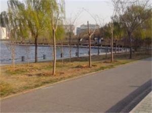 上石寺村 上石寺村