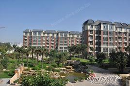 新鄉橄欖城 新鄉橄欖城