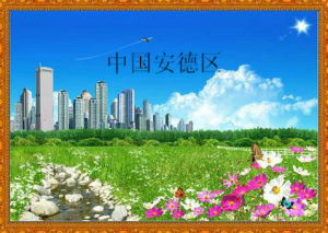 德州市安德區 德州市安德區