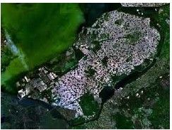 弗萊福蘭 弗萊福蘭