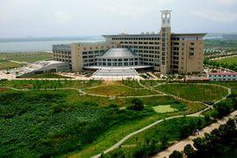 武漢科技大學圖書館 武漢科技大學圖書館