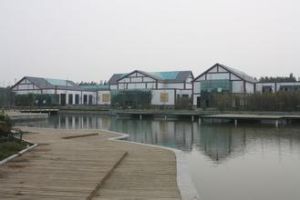 東平縣稻屯窪國家城市濕地公園 東平縣稻屯窪國家城市濕地公園