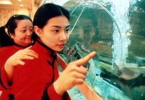 （圖）《我的美麗鄉愁》