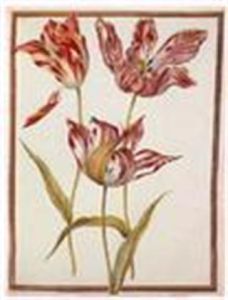 《天香百合》 《天香百合》