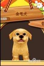 晴天小狗[養成遊戲]