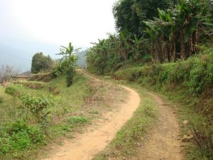 平掌地村 平掌地村
