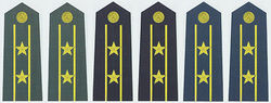 陸海空軍中校常服肩章