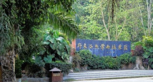 野象谷熱帶雨林景區 野象谷熱帶雨林景區