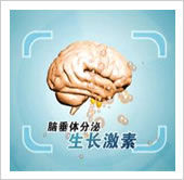 肽類激素 肽類激素