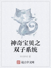 神奇寶貝之雙子系統 神奇寶貝之雙子系統