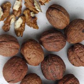 廣元核桃 廣元核桃