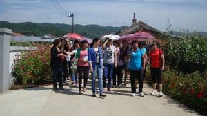 寒蔥溝村 寒蔥溝村