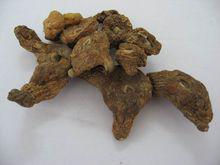 老虎姜（黃精）