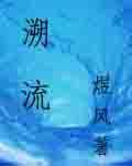 溯流 溯流