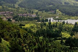 翁帶自然村 翁帶自然村