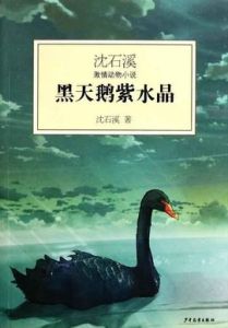 黑天鵝紫水晶 黑天鵝紫水晶