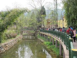 竹窩社區 竹窩社區