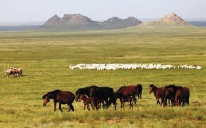 烏蘭鎮[內蒙古自治區鄂爾多斯市鄂托克旗烏蘭鎮]