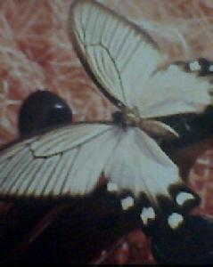 音樂任我行 音樂任我行