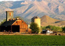 加拿大農場 加拿大農場