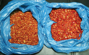 右為經過羅丹明B染色的辣椒