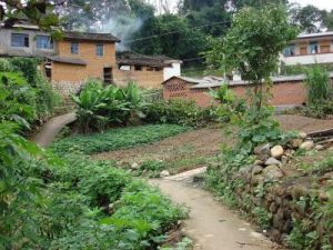 良子田自然村 良子田自然村