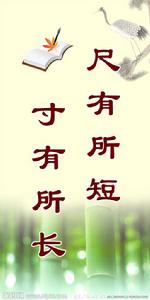 尺有所短，寸有所長