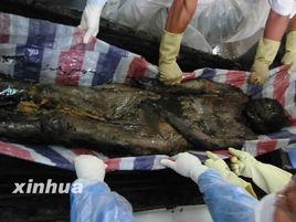 海州雙龍漢代女屍 海州雙龍漢代女屍