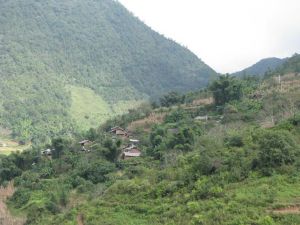 毛家李家楊家村