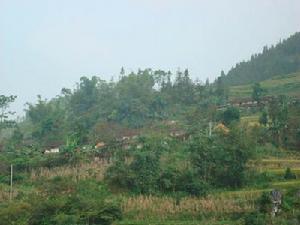 龍中自然村 龍中自然村