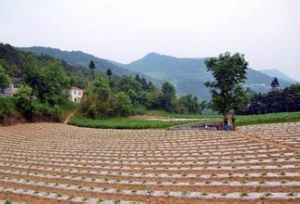 文家岩村 文家岩村