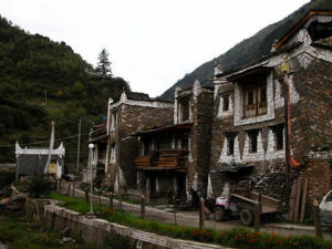 納足彩林 納足彩林