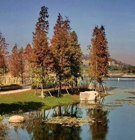 佘山璽樾 佘山璽樾