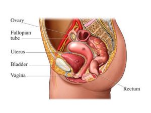 膀胱頸攣縮 膀胱頸攣縮