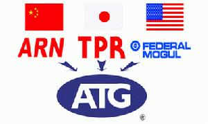 安慶帝伯格茨活塞環有限公司